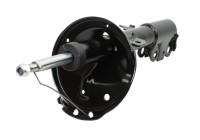 Shock absorber 11-1629 Maxgear