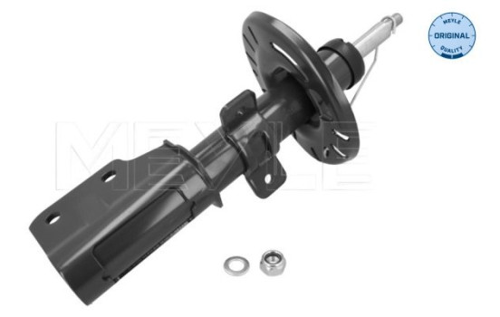 Shock absorber 11-26 623 0025 Meyle