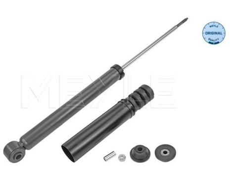 Shock absorber 16-26 725 0029 Meyle