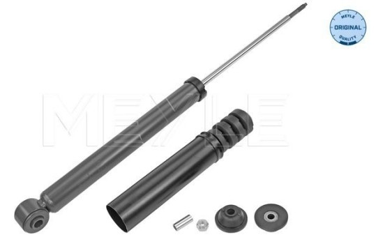 Shock absorber 16-26 725 0029 Meyle