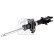 Shock absorber 193146 FEBI