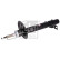 Shock absorber 193153 FEBI