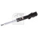 Shock absorber 193471 FEBI