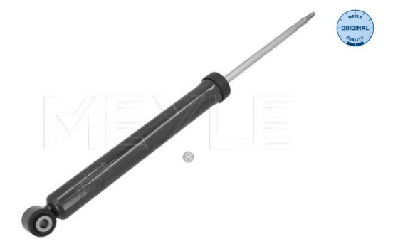 Shock absorber 226 725 0018 Meyle
