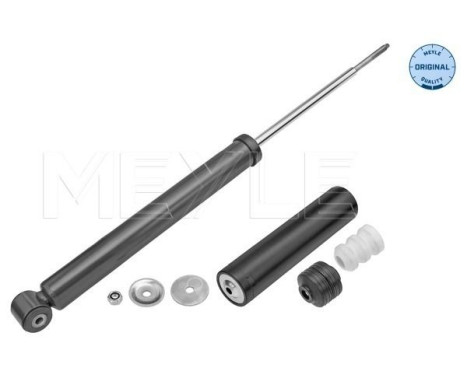 Shock absorber 31-26 725 0009 Meyle