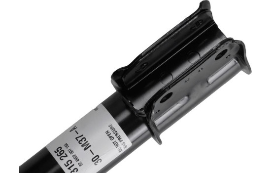 Shock Absorber 315 265 Sachs, Image 6