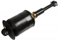 Shock absorber 317 325 Sachs
