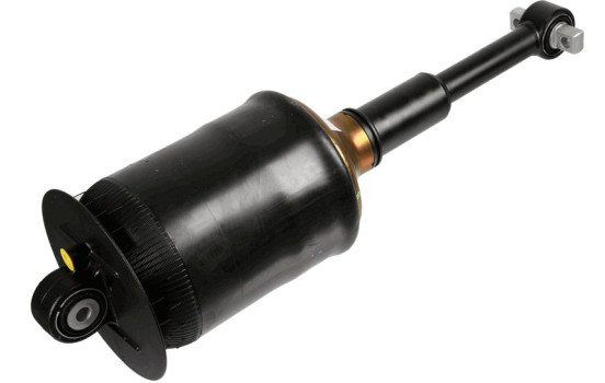 Shock absorber 317 325 Sachs
