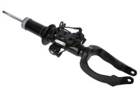 Shock absorber 319 072 Sachs