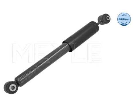 Shock absorber 40-26 725 0018 Meyle