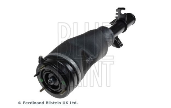 Shock Absorber ADJ138402 Blue Print, Image 4