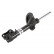 Shock Absorber AG5051MT Magnum Technology, Thumbnail 2