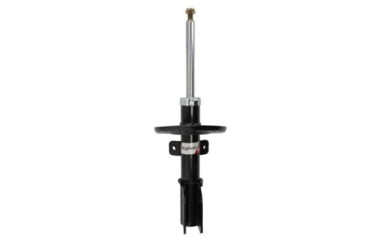 Shock absorber AGC057 Magnum Technology