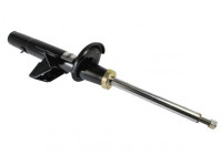 Shock Absorber AGG119MT Magnum Technology
