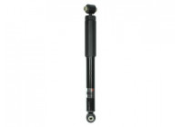 Shock Absorber AGG132MT Magnum Technology
