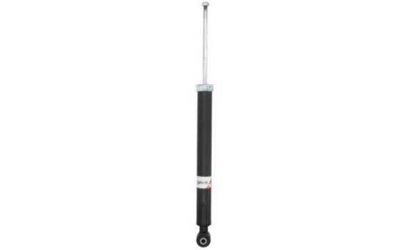 Shock absorber AGM101 Magnum Technology