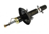 Shock Absorber AGW018MT Magnum Technology