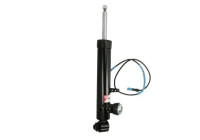 Shock absorber APB008MT Magnum Technology
