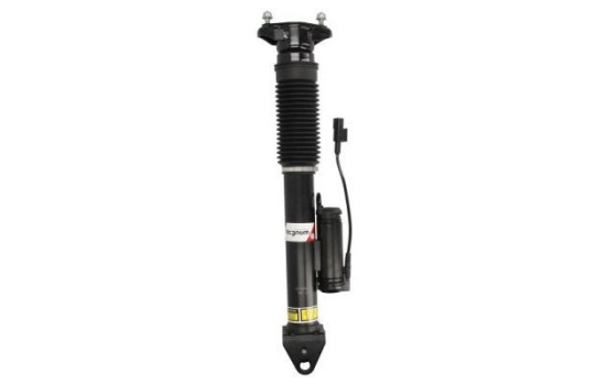 Shock Absorber APM006MT Magnum Technology