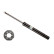 Shock Absorber BILSTEIN - B4 OE Replacement 21-030468, Thumbnail 2