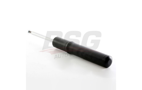 Shock absorber BSG 11-300-002