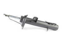 Shock absorber BSG 15-300-004