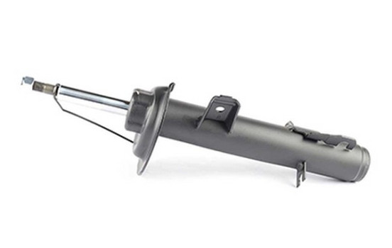 Shock absorber BSG 15-300-004