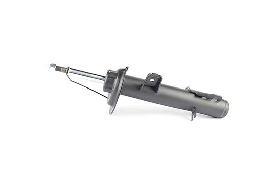 Shock absorber BSG 15-300-004, Image 2