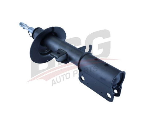 Shock absorber BSG 15-300-014, Image 4