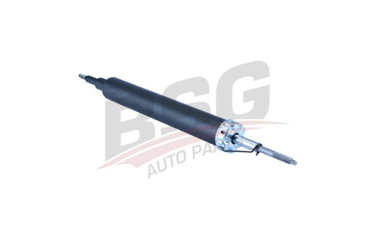 Shock absorber BSG 15-300-018, Image 3