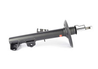 Shock absorber BSG 15-300-020