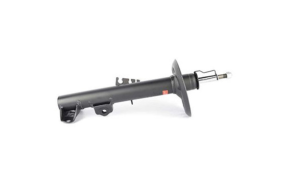 Shock absorber BSG 15-300-020, Image 2