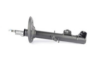 Shock absorber BSG 15-300-021