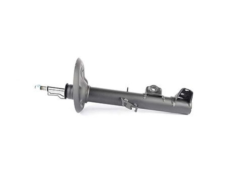 Shock absorber BSG 15-300-021, Image 2