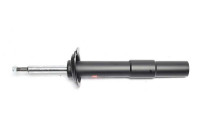 Shock absorber BSG 15-300-025