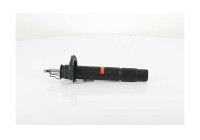 Shock absorber BSG 15-300-030