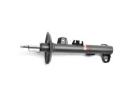 Shock absorber BSG 15-300-034