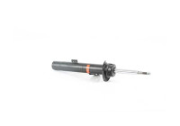 Shock absorber BSG 15-300-043