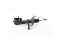 Shock absorber BSG 15-300-049