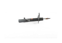 Shock absorber BSG 15-300-050