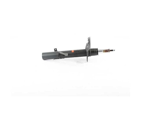 Shock absorber BSG 15-300-050, Image 2