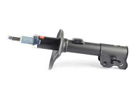 Shock absorber BSG 16-300-004