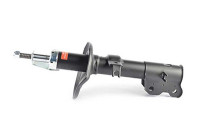Shock absorber BSG 16-300-005