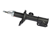 Shock absorber BSG 16-300-006