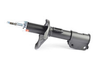 Shock absorber BSG 16-300-007