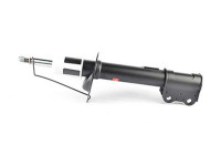 Shock absorber BSG 16-300-008