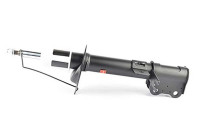 Shock absorber BSG 16-300-009