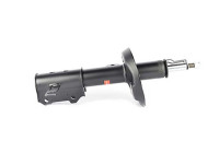 Shock absorber BSG 16-300-014