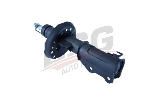 Shock absorber BSG 16-300-014, Image 4