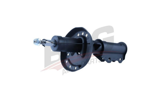 Shock absorber BSG 16-300-014, Image 5